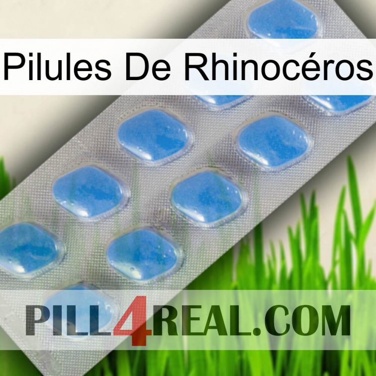 Pilules De Rhinocéros 22